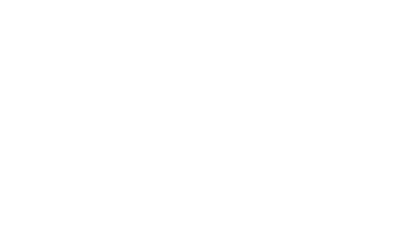 Festival des arts du mouvement